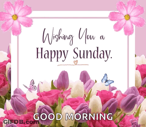 Wishing You A Happy Sunday Card With Flowers And Butterflies GIF