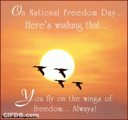 Wishing You Fly On Wings Of Freedom GIF