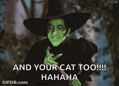 Witch And Your Cat Too GIF