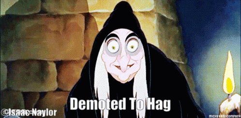 Witch Demoted To Hag GIF