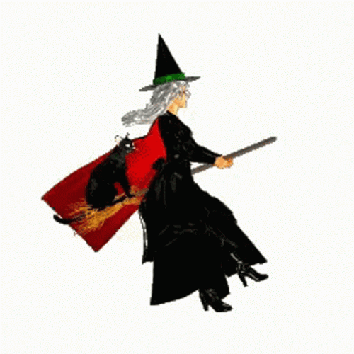 Witch Flying Cat Animation GIF