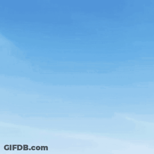Witch Flying On Broom Says Why Yes Yes I Can Drive A Stick GIF
