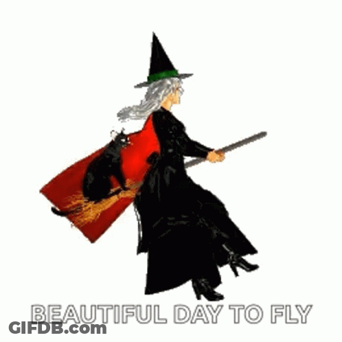 Witch Flying On Broom With Cat GIF