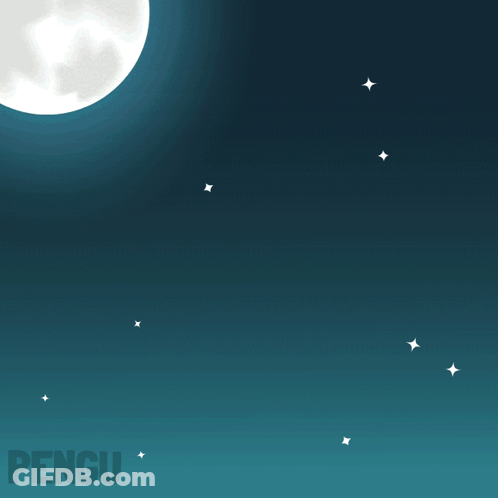 Witch Hat Penguin Flying On Broom At Night GIF