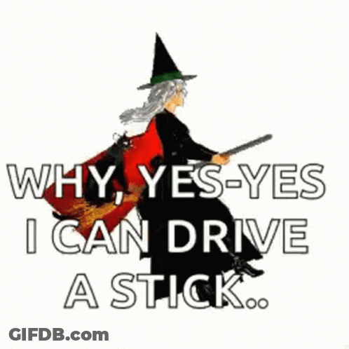 Witch On Broom With Cat Saying Why Yes Yes I Can Drive Stick GIF