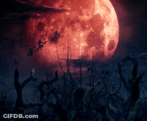 Witches Flying In Front Of Full Moon In Dark Forest GIF