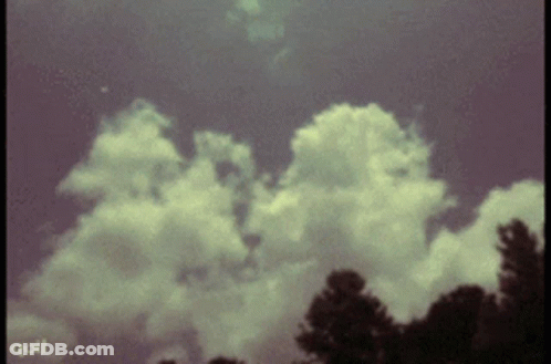 Witches In Pink On Dark Background GIF