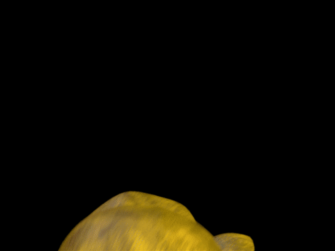 Withered Bonnie Golden Freddy GIF