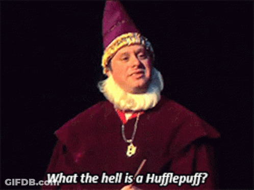 Wizard Asking What The Hell Is A Hufflepuff GIF