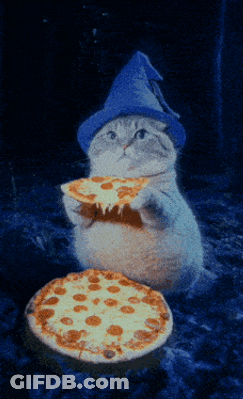 Wizard Cat Meme GIF