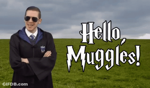 Wizard Costume Man Saying Hello Muggles GIF