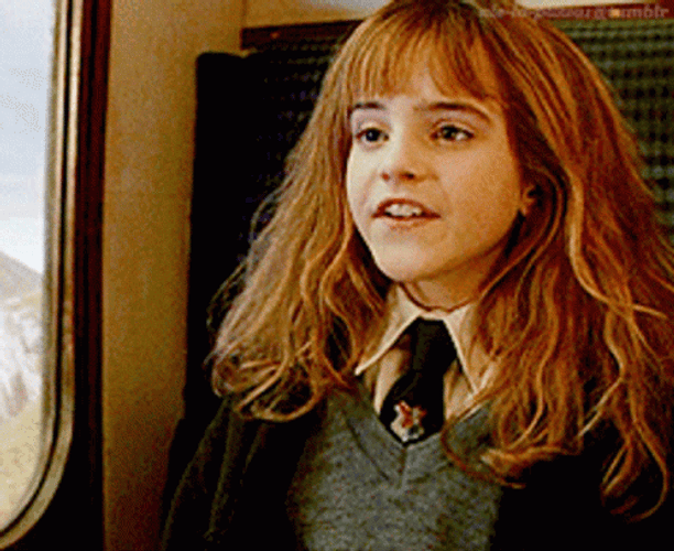 Wizard Hermione Granger GIF