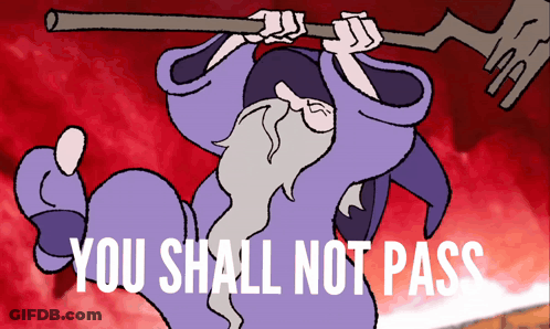 Wizard Holding Stick Saying You Shall Not Pass GIF