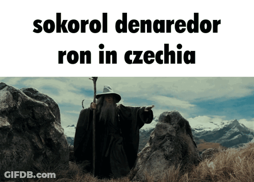 Wizard In Field Sokorol Denaredor Ron GIF