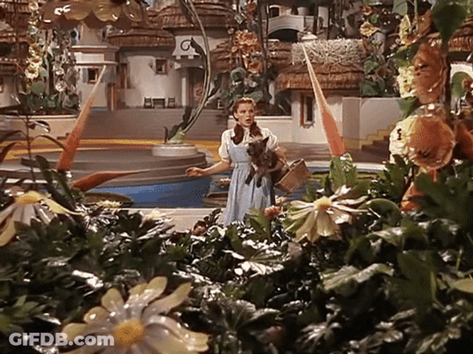 Wizard Of Oz Bewildered Dorothy Clueless GIF