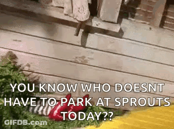 Wizard Of Oz Disappear GIF