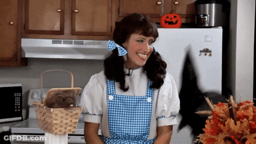 Wizard Of Oz Dorothy Cosplay GIF