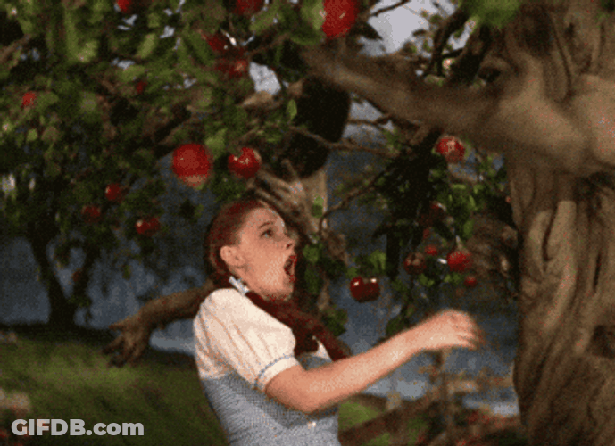 Wizard Of Oz Dorothy Fighting An Apple Tree GIF
