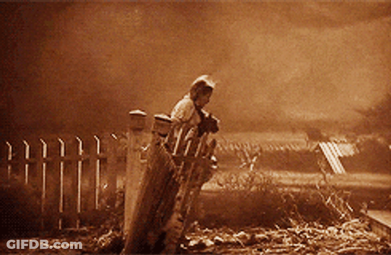 Wizard Of Oz Dorothy Fighting Off Storm GIF