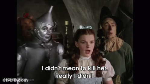 Wizard Of Oz Dorothy Saying I Didn't GIF