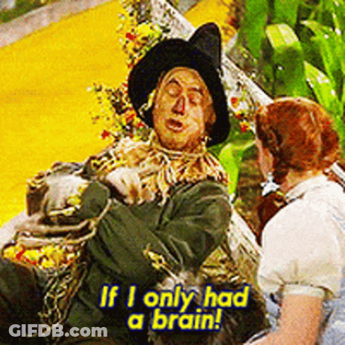 Wizard Of Oz Scarecrow Talking To Girl GIF