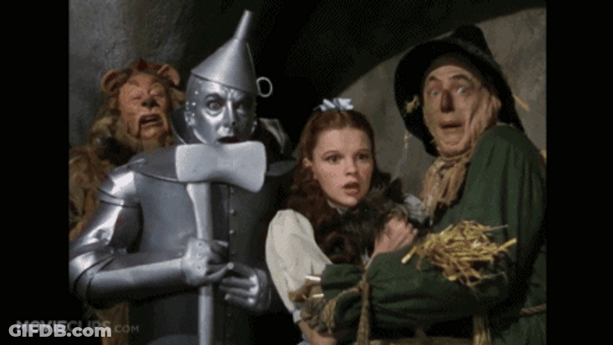 Wizard Of Oz Scared Dorothy Tin Man GIF