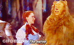 Wizard Of Oz Scene With Lion Saying The Nerve GIF