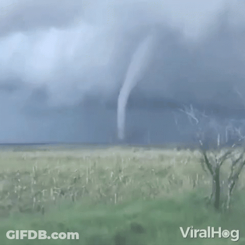 Wizard Of Oz Tornado Twister GIF