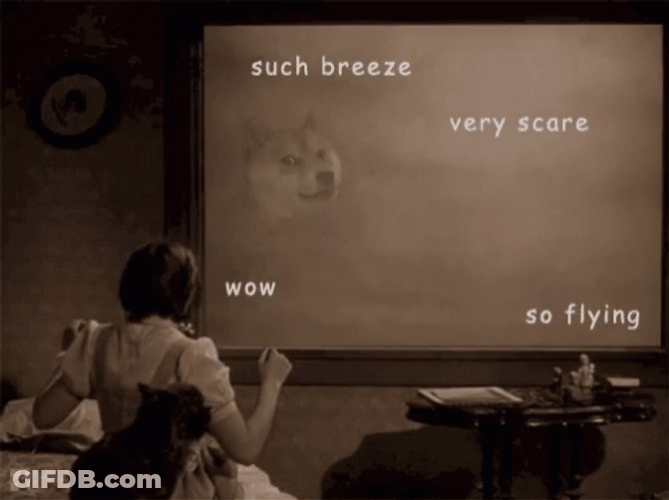 Wizard Of Oz Tornado Wow Dog Meme GIF