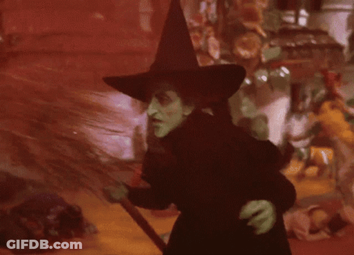 Wizard Of Oz Wicked Witch Dorothy Fighting GIF