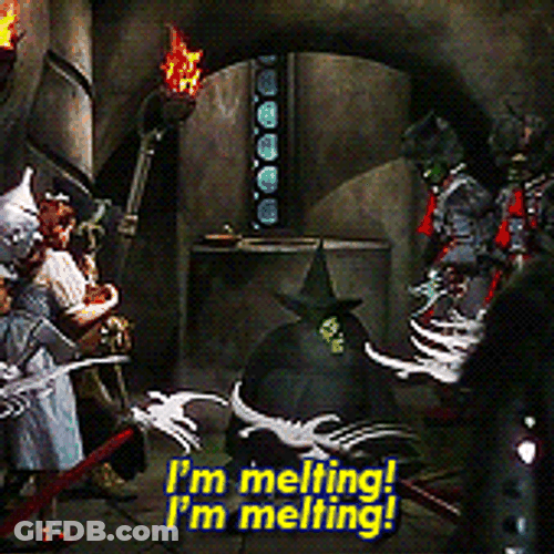 Wizard Of Oz Wicked Witch Melting GIF