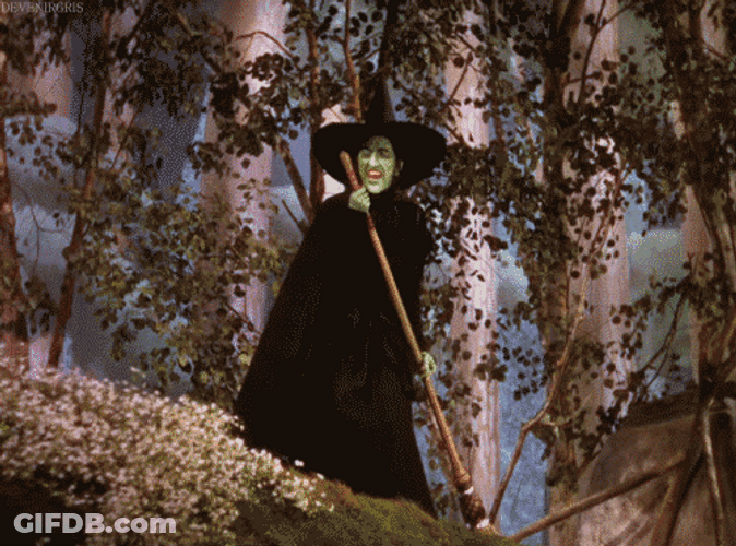 Wizard Of Oz Wicked Witch Vanishing Loop GIF