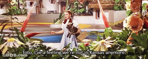 Wizard Of Oz Woman Holding Cat Saying Toto GIF