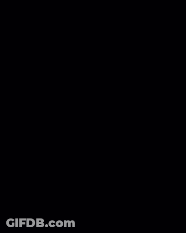 WLFC Logo With Flames GIF