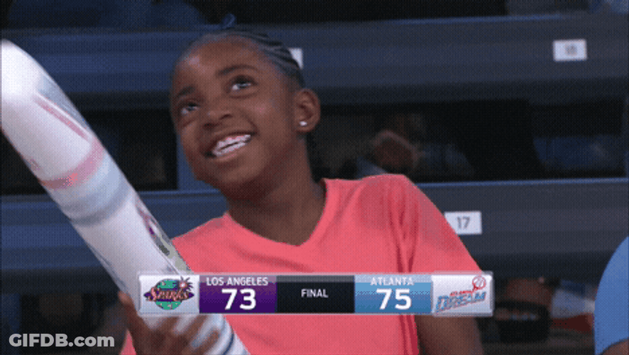Wnba Cute Fan GIF