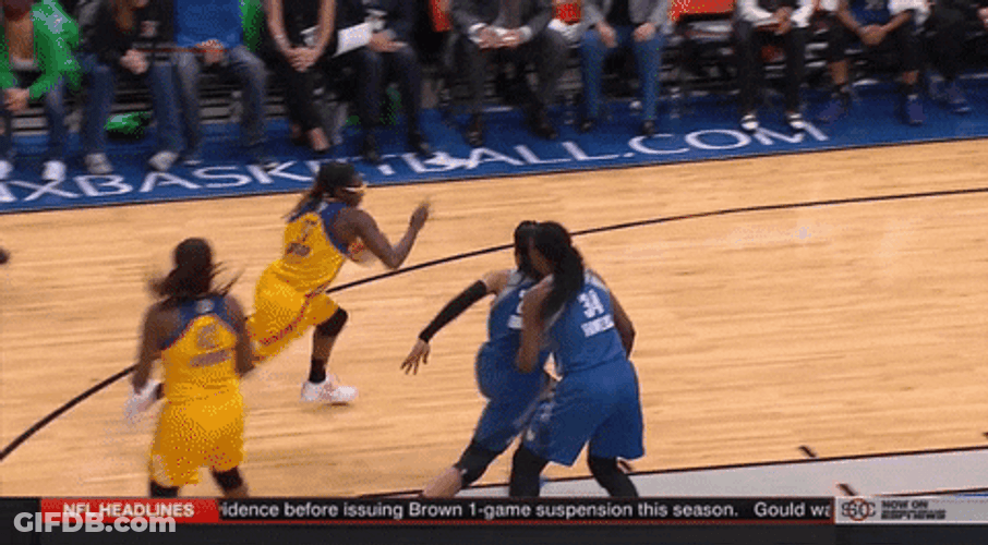 Wnba Finals Game GIF