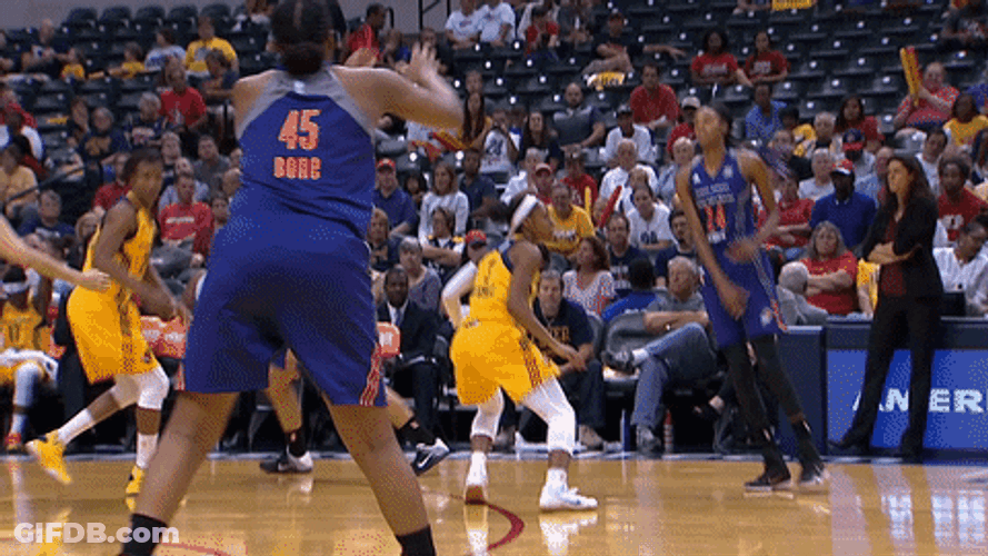 Wnba Heated Game GIF