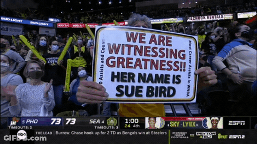 Wnba Supportive Fan GIF