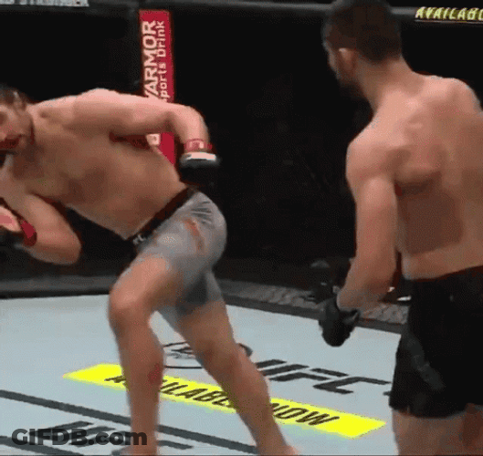 Wobbly Knockout Alistair Versus Pavlovich UFC GIF