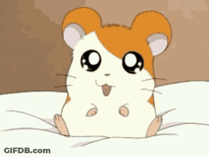 Woke Up Hamtaro Head Scratch Cute Paws GIF
