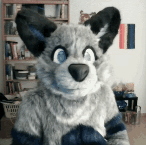 Wolf Costume Shaking Head GIF