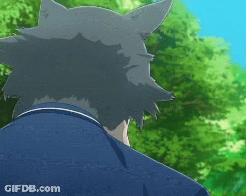 Wolf Face Close Up With Eyes Closed GIF
