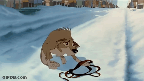 Wolf Holding Leash GIF