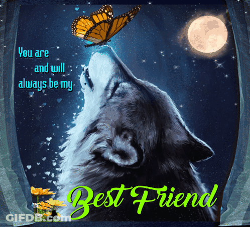 Wolf Howling At Butterfly You Are And Will Always Be My Best Friend GIF