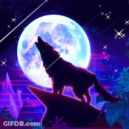 Wolf Howling At Full Moon GIF