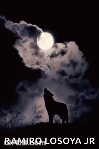 Wolf Howling At Full Moon GIF
