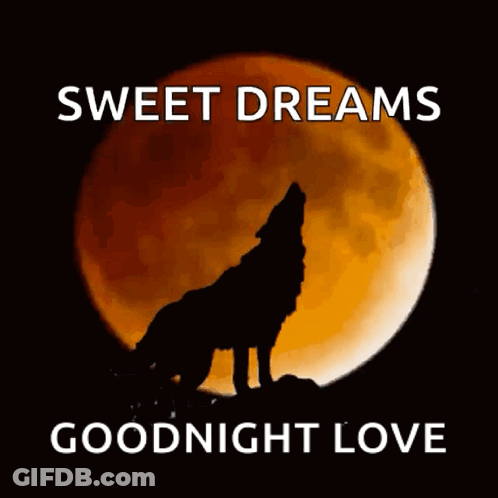 Wolf Howling At Full Moon Sweet Dreams Goodnight Love GIF