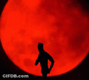 Wolf Howling At Full Red Moon With S. Ataturk Signature GIF