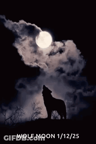 Wolf Howling At Moon Poster GIF
