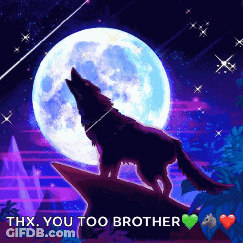 Wolf Howling At Moon Saying Thx You Too Brother GIF